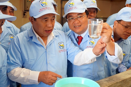 Chủ tịch UBND tỉnh kiểm tra các mô hình kinh tế ở Quỳnh Lưu