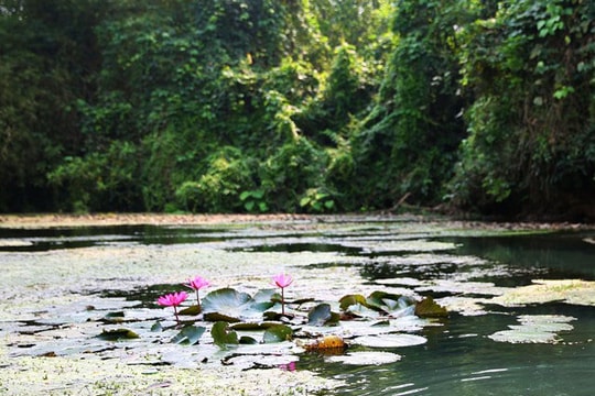 Thời tiết 26/3: Sáng sớm có sương mù, trưa chiều hửng nắng