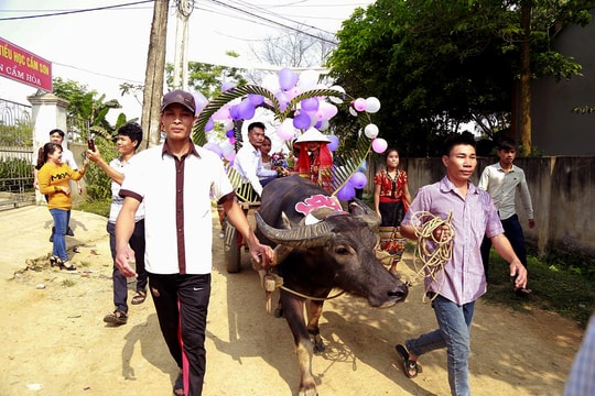 Chàng rể bản Thái rước nàng về “dinh” bằng xe trâu