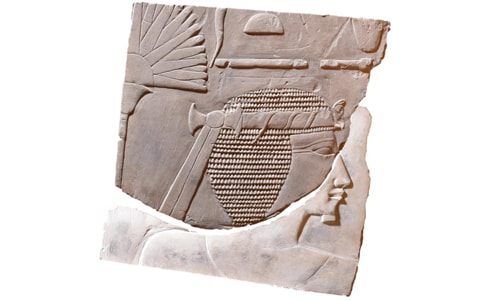 Tượng điêu khắc 3.500 năm tuổi của nữ pharaoh Ai Cập