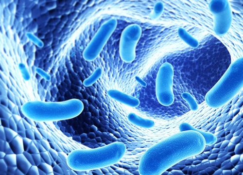 Ung thư đại trực tràng - hậu quả từ thói quen ăn uống