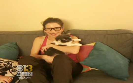 Người phụ nữ chi bộn tiền để ghép thận cho mèo 17 tuổi