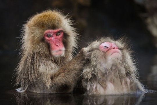 Bộ ảnh thiên nhiên đẹp nhất tháng 3