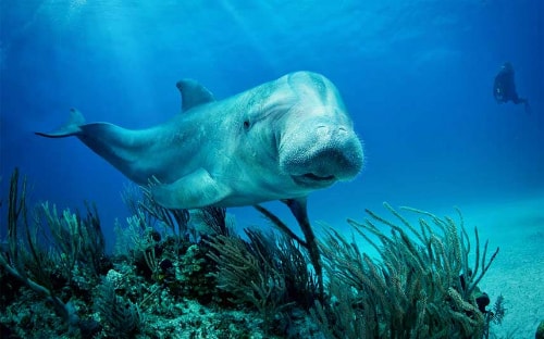 Những trò đùa ngày Cá tháng Tư lừa du khách tệ nhất