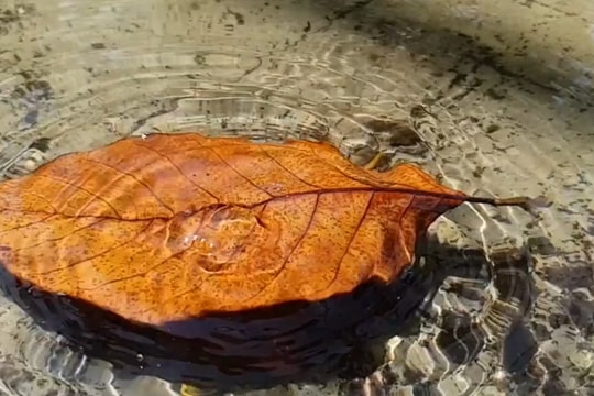 Ngắm vẻ  tuyệt đẹp của nước 