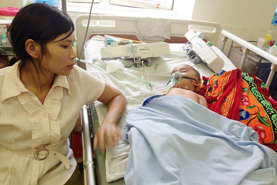 Nghệ An: Bé trai 19 tháng tuổi suy gan nặng do bị ong đốt hàng chục vết 