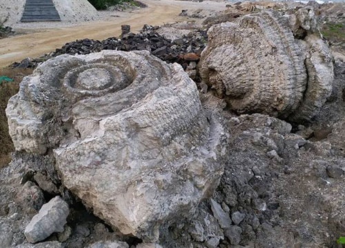 Phát hiện nghĩa địa hóa thạch 5.000 năm ở Lý Sơn