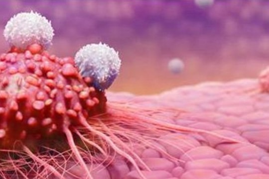 Những nhầm tưởng về ung thư khiến bạn lãng phí tiền bạc và tuổi thọ