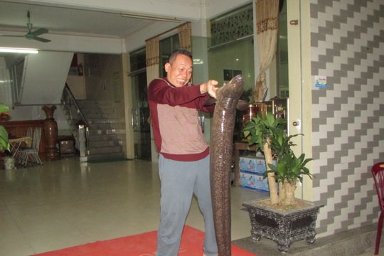 Người dân miền núi Nghệ An đánh bắt được cá lệch khủng 