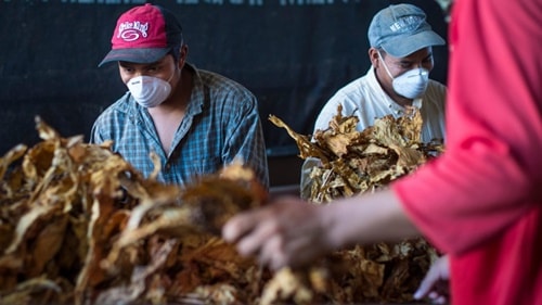 Truyền thông Trung Quốc kêu gọi doanh nghiệp Mỹ phản ứng với Trump