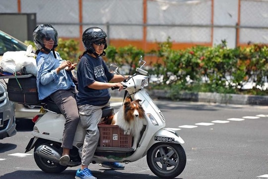 Vứt xe máy cũ, dân Singapore được trả 2.600 USD mỗi chiếc
