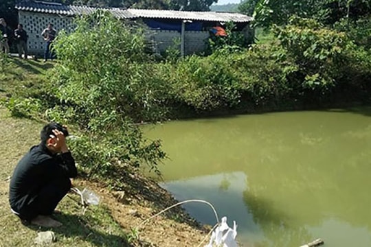 Ba anh em chết đuối dưới ao nhà bà