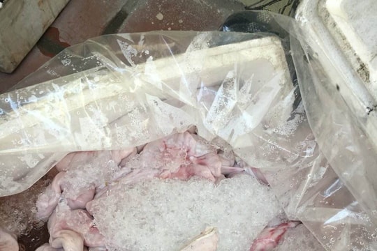 Thu giữ 435 kg nội tạng động vật bốc mùi hôi thối