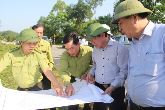 Nghệ An: Vào cuộc điều tra và xử lý nghiêm các vụ cố ý đốt rừng