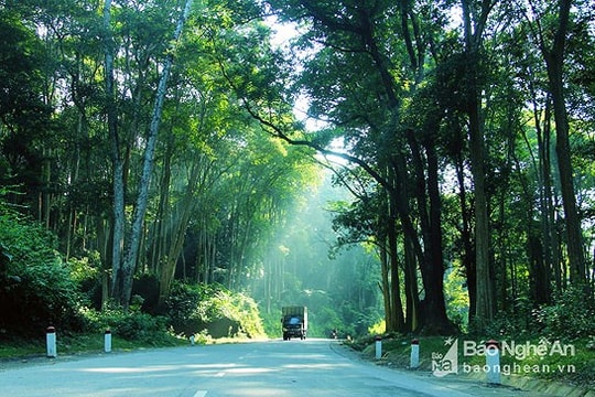 Thời tiết 10/4: Bắc và Trung bộ ngày tạnh ráo, nắng đều, đêm vẫn se lạnh