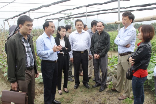 Cần có cơ chế đặc thù khuyến khích HTX vùng miền núi