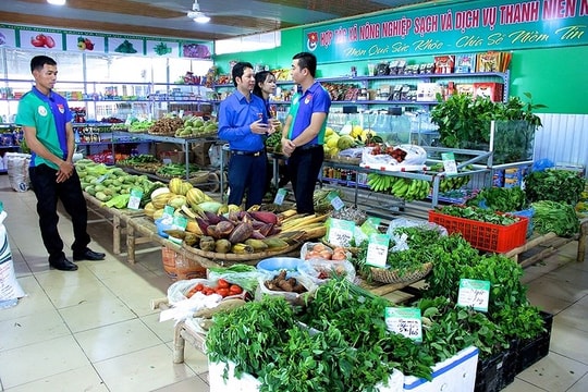 Nghệ An có 645 HTX hoạt động, tạo việc làm cho 53 nghìn lao động