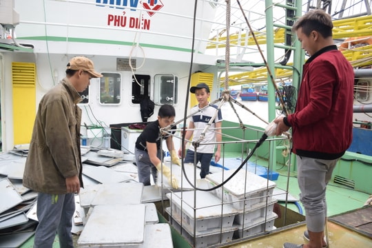 Làm thế nào chấm dứt tình trạng tàu nằm bờ do thiếu lao động?