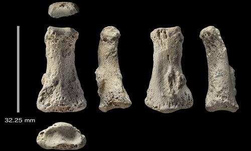 Hóa thạch xương người lâu đời nhất khai quật ngoài châu Phi