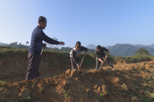 Ông già người Mông Nghệ An lên đỉnh núi đào ao thả cá