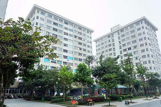 Người thu nhập thấp cũng phải đóng thuế tài sản?