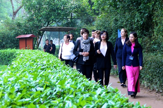 Đại sứ Vương quốc Bỉ: Nghệ An là tỉnh ưu tiên trong hợp tác phát triển