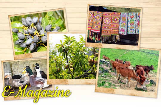 Biến đặc sản thành hàng hóa