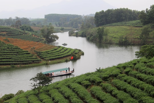 Tắm ở đập nước đảo chè Cầu Cau, người đàn ông tử vong