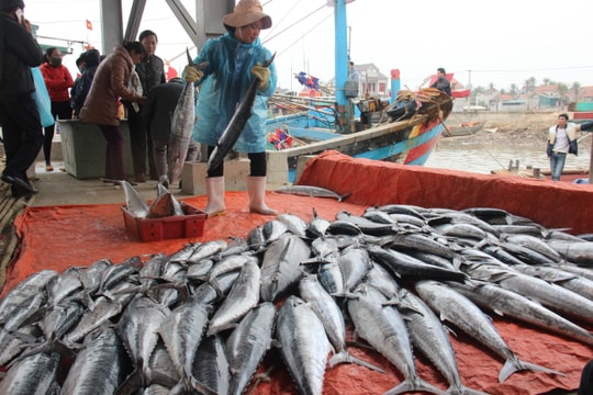 300 chủ phương tiện tàu cá được tập huấn về bảo vệ chủ quyền biển, đảo