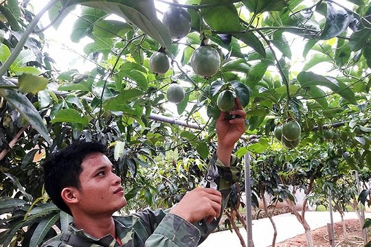 Nguồn vốn các dự án thuộc Chương trình MTQG giảm nghèo bền vững phân bổ quá muộn