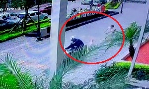 Cẩu tặc cướp chó, kéo lê cả chủ hàng chục mét ở giữa phố