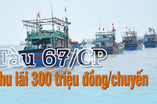 Nghệ An: "Tàu 67" bám biển thu lãi khoảng 300 triệu đồng/chuyến 