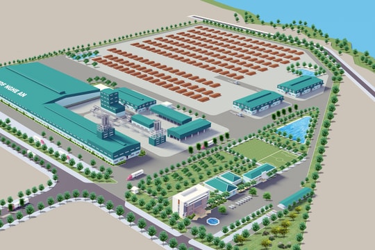 Nghệ An: Chuẩn bị khởi công thêm nhà máy gỗ hơn 2.000 tỷ đồng