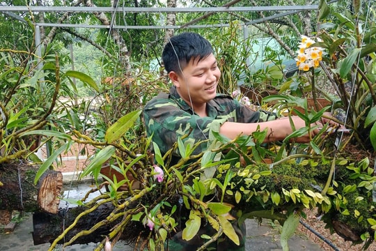 Ngỡ ngàng vườn lan rừng của các chiến sỹ quân hàm xanh