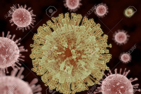 Virus Zika có thể giúp cứu sống bệnh nhi u não