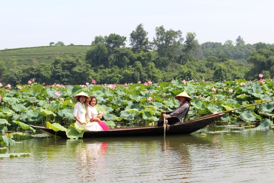 Đón mùa sen tháng 5