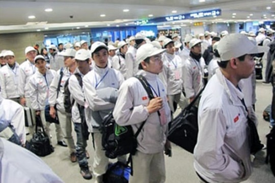 Nghệ An: 18 địa phương bị xem xét tạm dừng tiếp nhận lao động đi làm việc tại Hàn Quốc