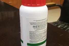 Bị nghi lấy trộm điện thoại, 2 chị em uống thuốc diệt cỏ tự tử