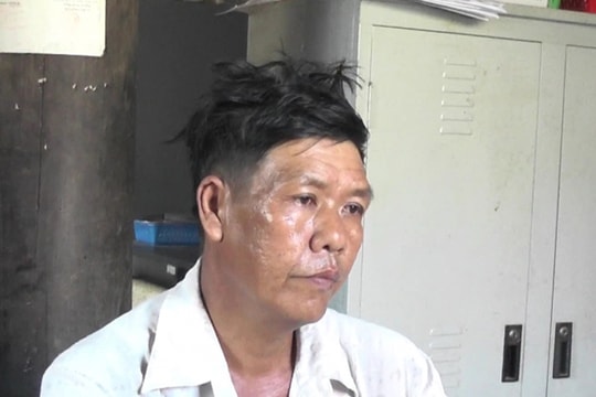 Bắt quả tang một nông dân trồng cây cần sa trong ruộng ngô