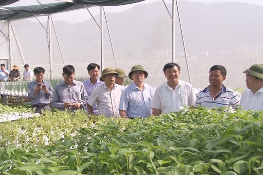 Chủ tịch Liên minh HTX Việt Nam khảo sát một số mô hình sản xuất ở Nam Đàn