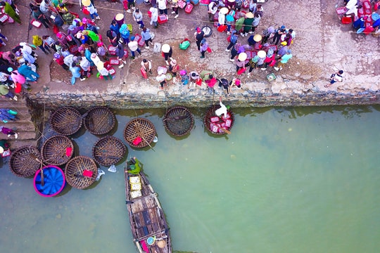 Lao xao bến cá Cửa Hội 