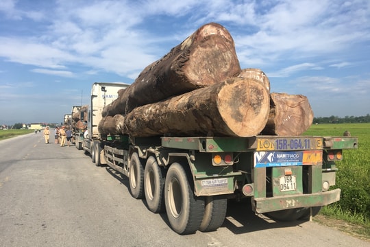 Tạm giữ 3 xe chở gỗ quá khổ trên Quốc lộ 7