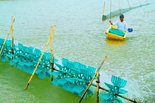 Cách nhận biết màu nước tốt, xấu trong ao nuôi thủy sản