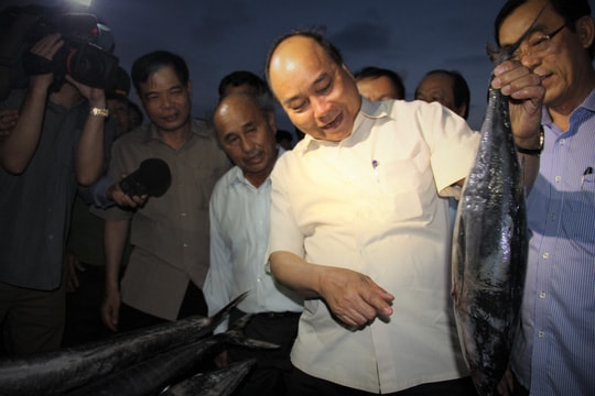 Biển miền Trung đã trở lại bình thường sau sự cố Formosa