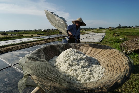 Nhọc nhằn trên đồng muối trong ngày nắng đỉnh điểm 