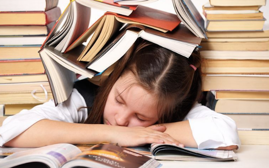 Khi cha mẹ luôn ước ao “con được điểm càng cao càng tốt”