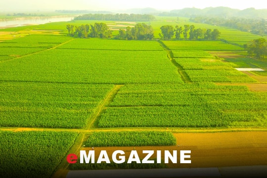 Để khai thác tiềm năng đất bãi ven sông