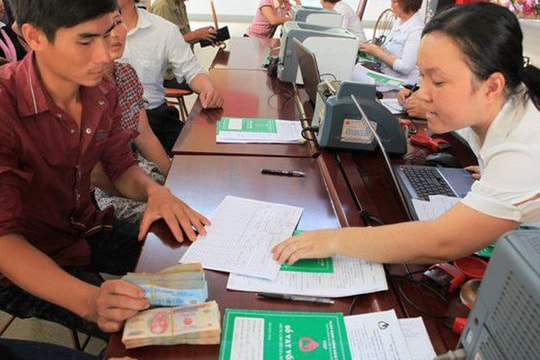 Về quê khởi nghiệp nghề nông sẽ được hỗ trợ vay vốn