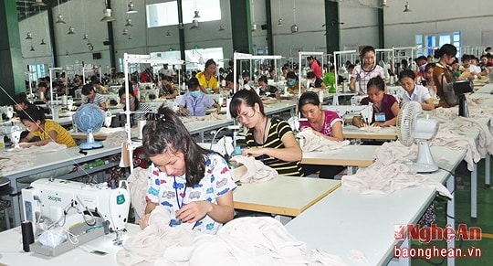 Thanh Chương: Tập huấn về dịch vụ hóa đơn điện tử cho 230 cơ quan, đơn vị