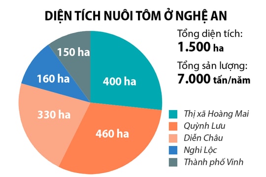 Nghệ An chưa có doanh nghiệp đủ mạnh để xuất khẩu tôm